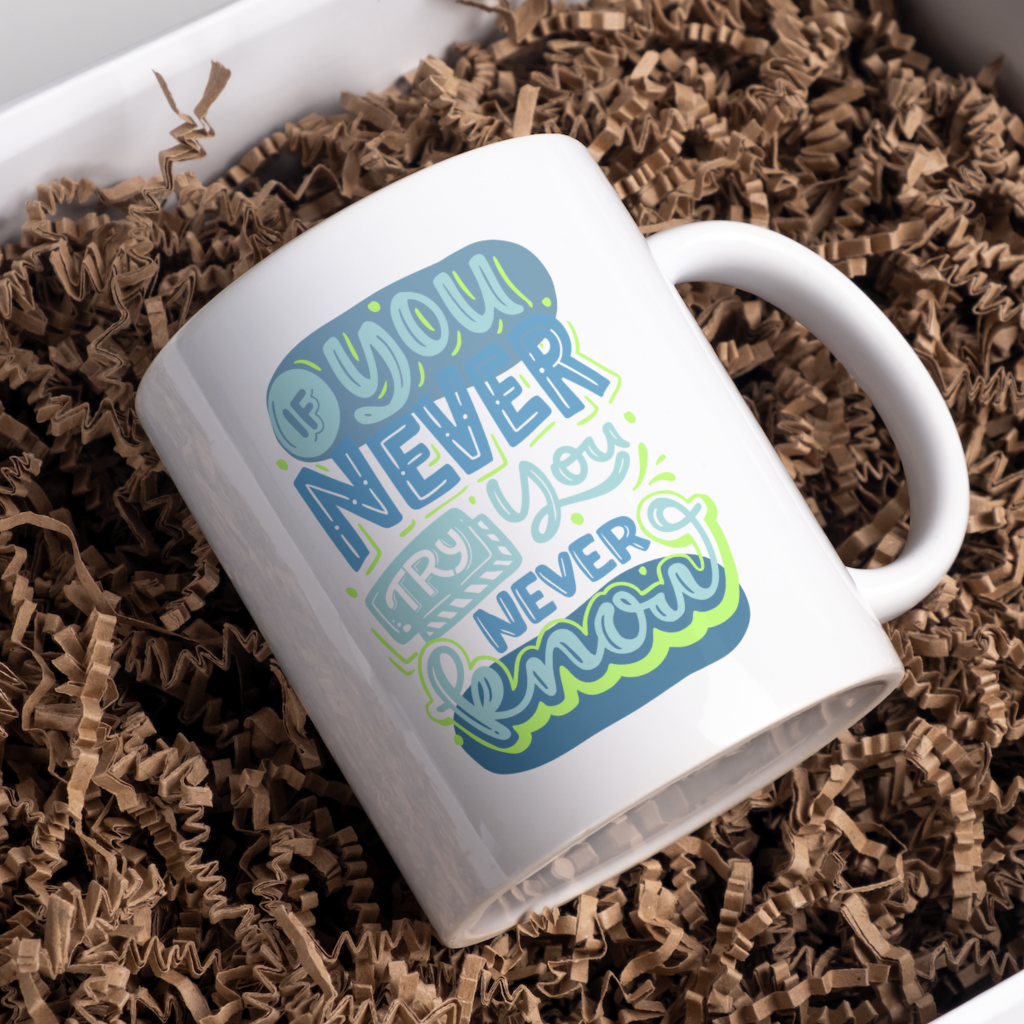If You Never Try You Never Know Coffee and Tea Ceramic Mug 11oz