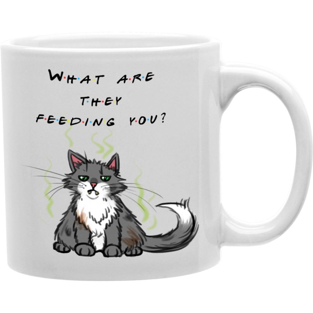 What Are They Feeding You? "Friends" Coffee Mug  Coffee and Tea Ceramic  Mug 11oz